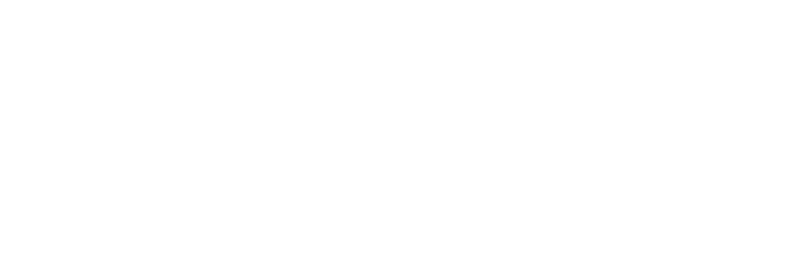 Dansig Insurance Risk Advisors - Logo 800 White